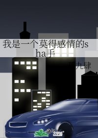 《我是一個莫得感情的sha手》