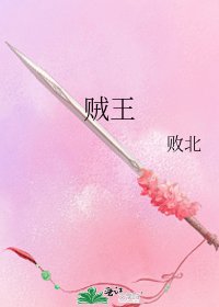 《贼王》